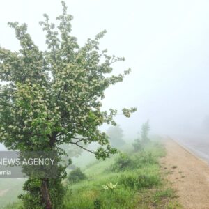 مه گرفتگی شدید در برخی از محورهای مواصلاتی استان ایلام