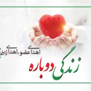 اهدای عضو بیمار مرگ مغزی در تبریز، جان سه بیمار را نجات داد