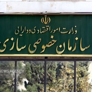 یک شرکت نفتی و چند نیروگاه دولتی از طریق مزایده به فروش می‌رسند