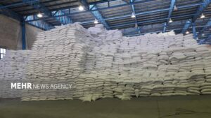 کشف انبار بزرگ احتکار شکر در کنگاور