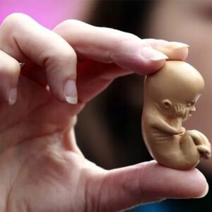 ‌روزانه تا هزار سقط جنین در کشور؛ آماری ۳۰ برابر تلفات تصادفات!