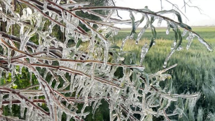 هشدار نارنجی هواشناسی در کهگیلویه و بویراحمد؛سردی زمستان به اوج می‌رسد