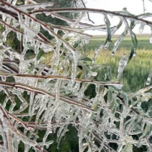 هشدار نارنجی هواشناسی در کهگیلویه و بویراحمد؛سردی زمستان به اوج می‌رسد