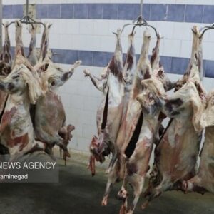کاهش ۱۰ درصدی قیمت گوشت قرمز در قزوین در دستور کار است