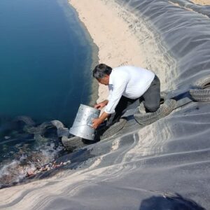 ۱۱۰ هزار قطعه بچه‌ماهی در سد زاگرس گیلانغرب رها شد