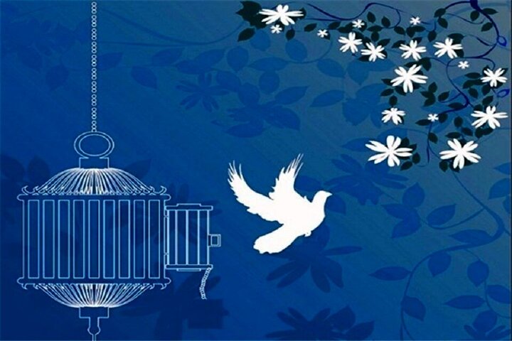 بخشش اولیای دم ۲ محکوم به قصاص را در نوشهر از چوبه دار نجات داد