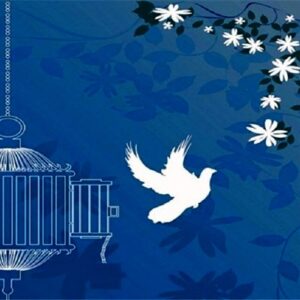 دماوندی: ۳۱ زندانی جرایم غیرعمد در مازندران از زندان آزاد شدند