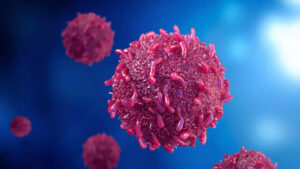 شریفی: آموزش و تغییر سبک زندگی کلید پیشگیری از بیماری‌ها است