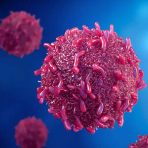 شریفی: آموزش و تغییر سبک زندگی کلید پیشگیری از بیماری‌ها است