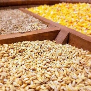 عرضه نهاده دامی منجر به فروکش عطش بازار شد