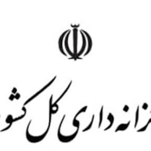 خودروهای دولتی ساماندهی می‌شوند