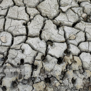 محیط زیست: تالاب بندعلیخان به خشکی مطلق رسید