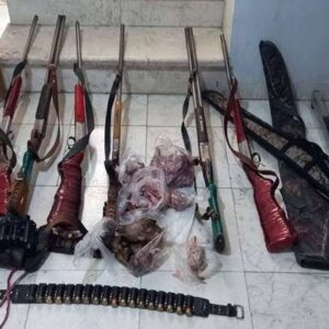 زارع: ۱۴ قبضه سلاح و ۵۶ لاشه جانوری در مازندران کشف شد