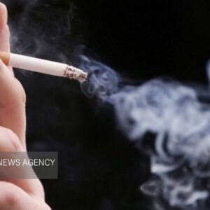 آلودگی هوا و دخانیات؛ دو تهدید اصلی برای ابتلاء به بیماری‌های ریوی