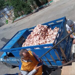 محمدپور: ۱۵ تن فرآورده دامی غیربهداشتی در سردشت کشف شد