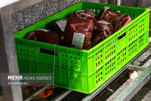 عرضه گوشت قرمز در کشتارگاه‌های رسمی به بیش از ۴۳ تن رسید