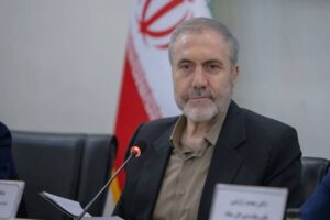 ذوالفقاری: ایران برای تأمین نیاز دارویی خود نیازی به کشت خشخاش ندارد