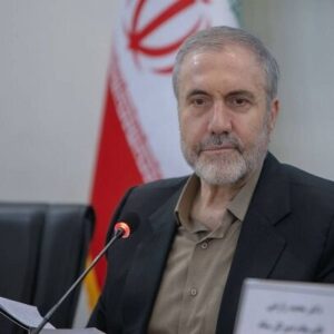 ذوالفقاری: ایران برای تأمین نیاز دارویی خود نیازی به کشت خشخاش ندارد