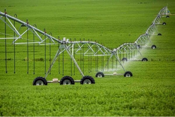 بررسی چالش‌های حوزه کشاورزی ایلام