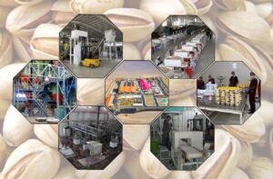 بیست‌وششمین رویداد ملی «تاثریا» در مازندران آغاز به کار کرد