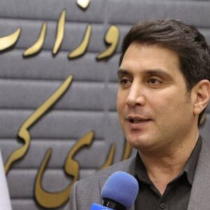 تشریح وضعیت فعالیت مادران شاغل در کردستان