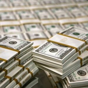 طرح رویش؛ برنامه ملی برای احیای جریان سرمایه‌گذاری مولد