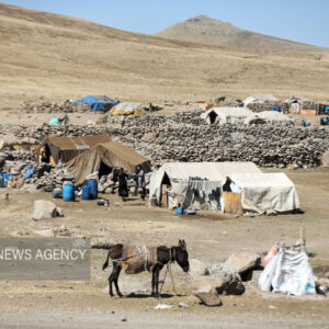جاده‌های عشایری گچساران باز هستند؛توزیع ۱۴۰ تن جو در هفته آینده