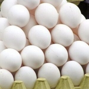 خانزاده: بیش از ۲ تن تخم مرغ فاقد گواهی بهداشتی در کاشمر توقیف شد