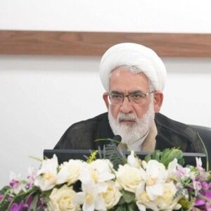  برخی عناصر بی بصیرت از سر جهالت و ناآگاهی آب به آسیاب دشمن می‌ریزند