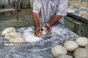 ترک فعل در دولتی‌سازی آرد کامل اصفهان؛فروش نان کامل تا ۱۰ هزار تومان