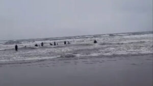 هشدار هواشناسی دریایی و اعلام وضعیت سطح نارنجی