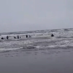 هشدار هواشناسی دریایی و اعلام وضعیت سطح نارنجی