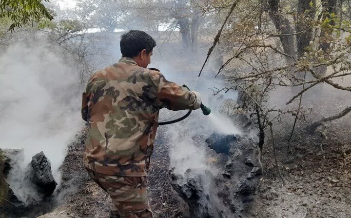مرزبانی: مهار حریق ۱.۵ هکتار از اراضی تالش‌ محله شفت؛ پایش ادامه دارد