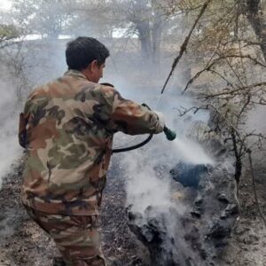 مرزبانی: مهار حریق ۱.۵ هکتار از اراضی تالش‌ محله شفت؛ پایش ادامه دارد