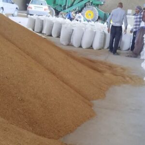 توزیع بیش از ۹ هزار تن نهاده‌های کشاورزی در کهگیلویه و بویراحمد