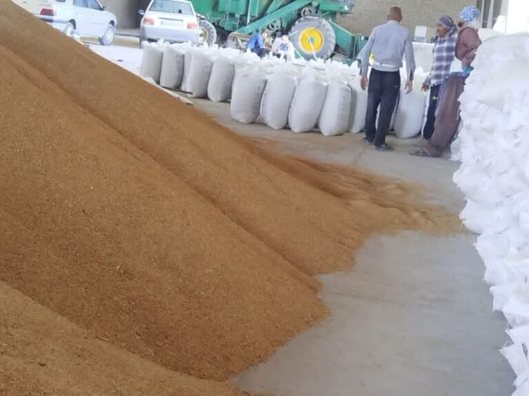 توزیع بیش از ۹ هزار تن نهاده‌های کشاورزی در کهگیلویه و بویراحمد