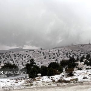 تصاویری از بارش برف در ارتفاعات شهر زنجان