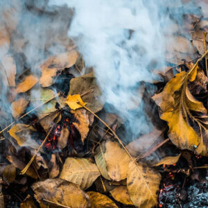 اقدامات محیط زیست شمیرانات برای مهار آلودگی هوا جدی‌تر شد