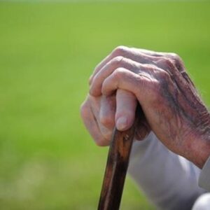 اکبری: طرح «بوشهر شهر دوستدار سالمند» شتاب می گیرد