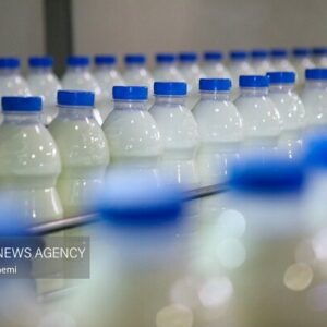 یونسی:  ۱۷ میلیون کیلوگرم انواع فرآورده‌های لبنی از مازندران صادر شد