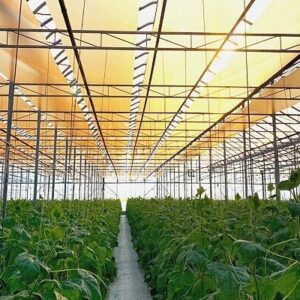 افتتاح دومین گلخانه کارگاهی آموزش و پرورش استثنایی کردستان در سنندج