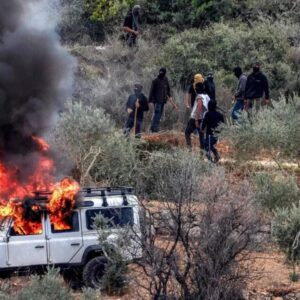 ضرب و شتم و ربودن یک کشاورز فلسطینی به دست شهرک نشینان مسلح+فیلم