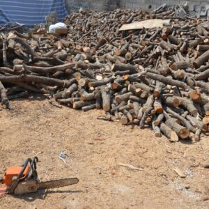 کشف ۶ تن چوب قاچاق در کنگاور به ارزش یک میلیارد ریال