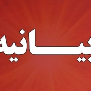 حماسه ۹ دی؛ مظهر ولایتمداری ایران است