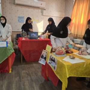 ۶۳۰ تیم در مسابقات آزمایشگاه علوم تجربی در ایلام حضور دارند