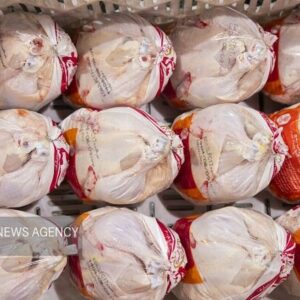 حیدری: قیمت فعلی مرغ در مشهد پایین‌تر از نرخ مصوب است