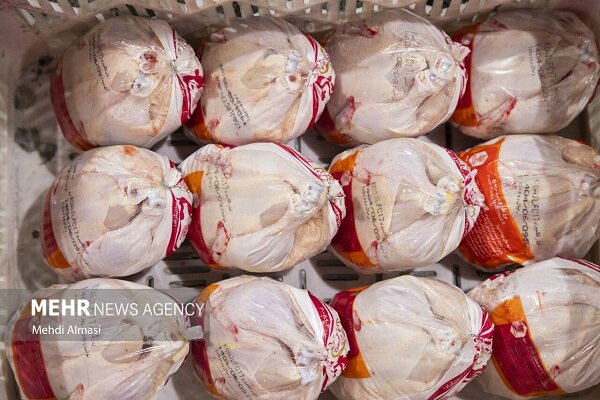 ۱۶۰۰ تن گوشت مرغ در لرستان تولید و عرضه شد
