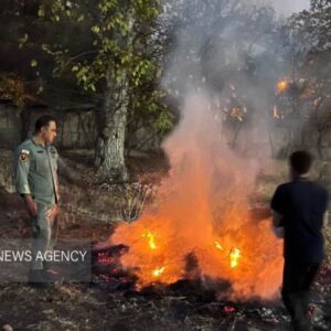 آتش زدن شاخ و برگ درختان در شمال تهران در سایه عدم نظارت مسئولین