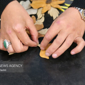 نمایشگاه دستاوردهای بانوان توانمند و کارآفرین استان بوشهر برپا می‌شود