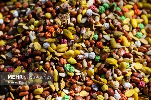 افتتاح نمایشگاه ویژه شب یلدا در بندرعباس